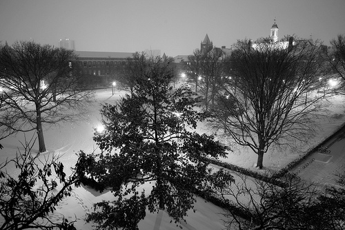 Quad in Winter