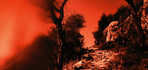 Depiction of Hell with red skies silhouetting trees and bushes